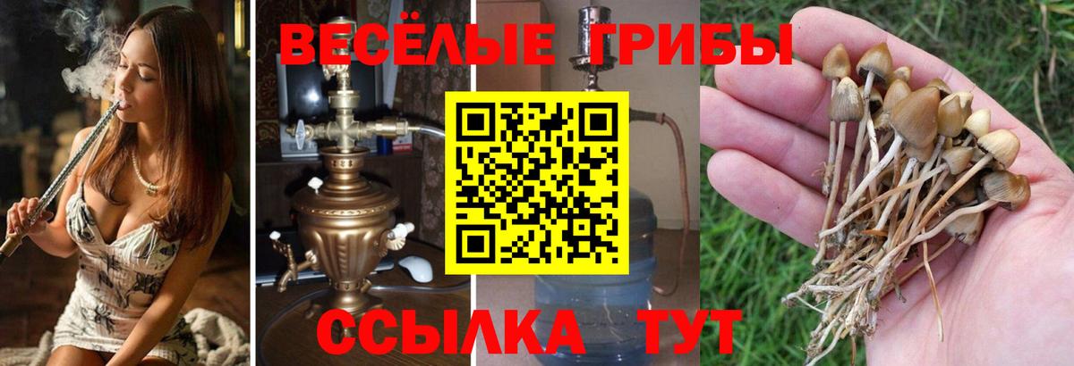 Дзержинский  Галлюциногенные грибы MAGIC MUSHROOMS  Вход с VPN 