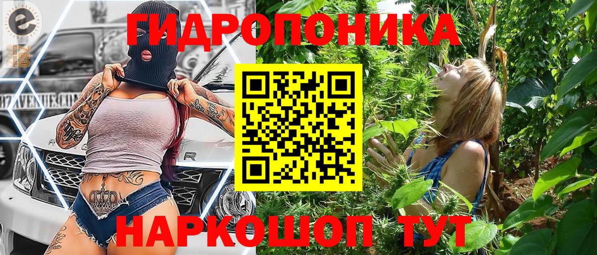 Каннабис планчик  Вход с VPN  МАРИХУАНА LSD WEED  Бошки марихуана индика  Дзержинский 